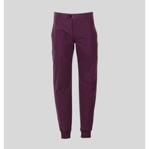 Greyson Clothiers Montauk Sport Jogger in Meadowsweet Purple Size 34 Golf Pants